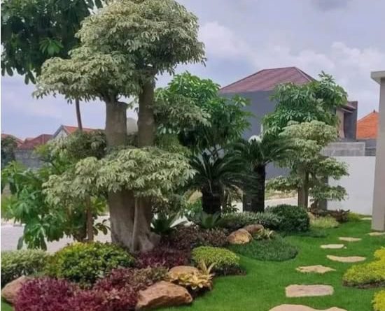 alcha taman indah (20)