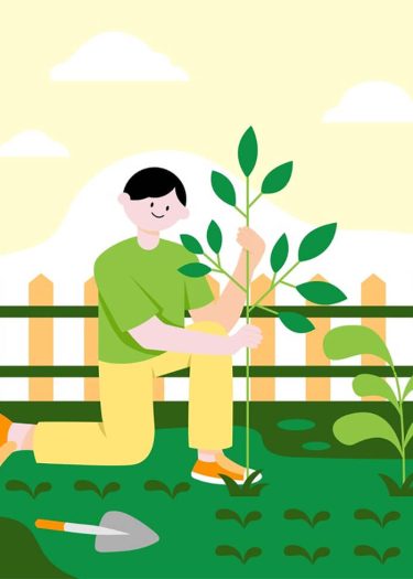 post-feature-3